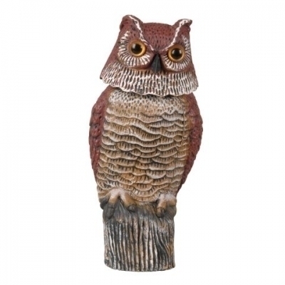 Silverline Guard Owl
